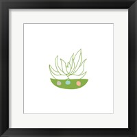 Framed Succulent II