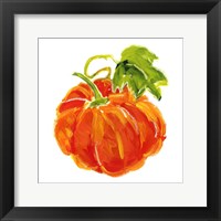 Pumpkin Patch II Framed Print