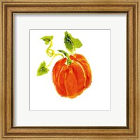 Framed 'Pumpkin Patch IV' border=