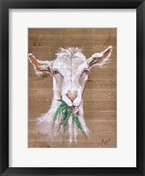 Goat Framed Print