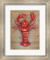 Framed Lobster