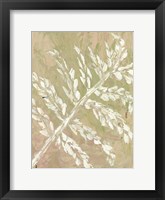 Fern No. 2 Framed Print