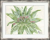 Framed Succulent No. 1