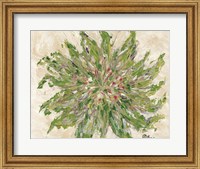 Framed Succulent No. 3