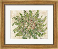 Framed Succulent No. 3