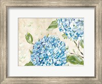 Framed Blue Hydrangeas II