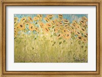 Framed Sunflower Garden