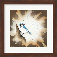 Framed Weathered Friends - Blue Jay