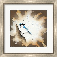 Framed Weathered Friends - Blue Jay