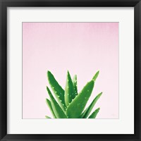 Framed 'Succulent Simplicity V on Pink' border=