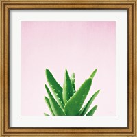 Framed Succulent Simplicity V on Pink