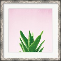 Framed Succulent Simplicity V on Pink