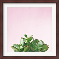 Framed Succulent Simplicity III on Pink