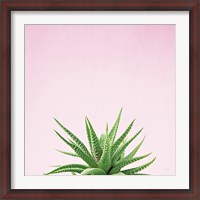Framed Succulent Simplicity I on Pink