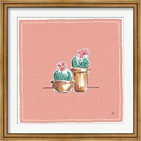 Framed Desert Bloom XI