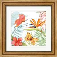 Framed Treasures of the Tropics IV