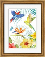 Framed Treasures of the Tropics II