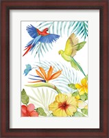 Framed Treasures of the Tropics II