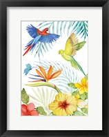 Framed Treasures of the Tropics II