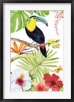 Framed Treasures of the Tropics I