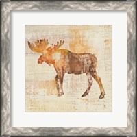 Framed Moose Study