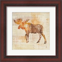 Framed Moose Study