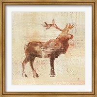Framed Elk Study v2
