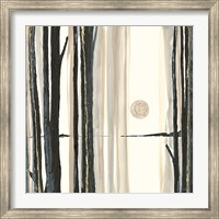 Framed Through the Trees IV