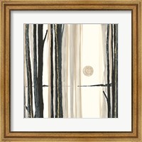 Framed Through the Trees IV
