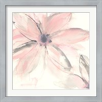 Framed Blush Clematis II