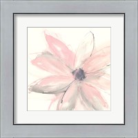 Framed Blush Clematis I