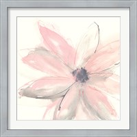 Framed Blush Clematis I