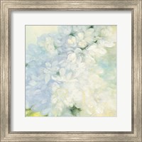 Framed 'White Lilacs Bright' border=