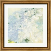 Framed 'White Lilacs Bright' border=