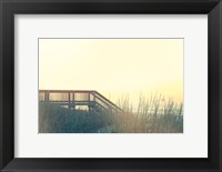 Framed Boardwalk to the Beach