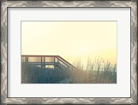 Framed Boardwalk to the Beach