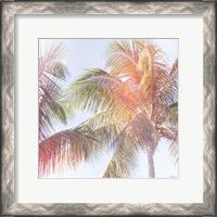 Framed Dream Palm III