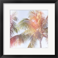 Dream Palm III Framed Print