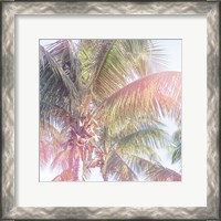 Framed Dream Palm II