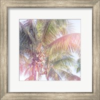 Framed Dream Palm II