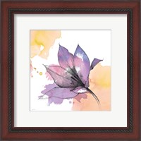 Framed 'Watercolor Graphite Flower IX' border=