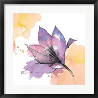 Framed Watercolor Graphite Flower IX