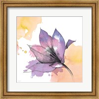 Framed Watercolor Graphite Flower IX