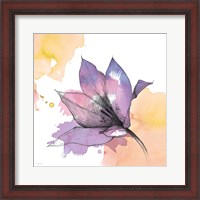 Framed 'Watercolor Graphite Flower IX' border=
