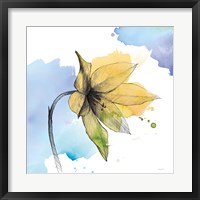Framed Watercolor Graphite Flower VIII