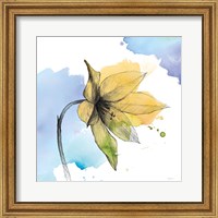 Framed 'Watercolor Graphite Flower VIII' border=