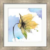 Framed Watercolor Graphite Flower VIII