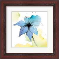 Framed Watercolor Graphite Flower V