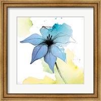 Framed Watercolor Graphite Flower V