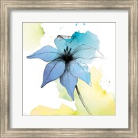 Framed 'Watercolor Graphite Flower V' border=